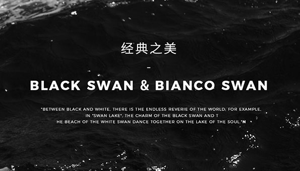 一黑一白，雙生靈魂，各自綻放，又相互輝映