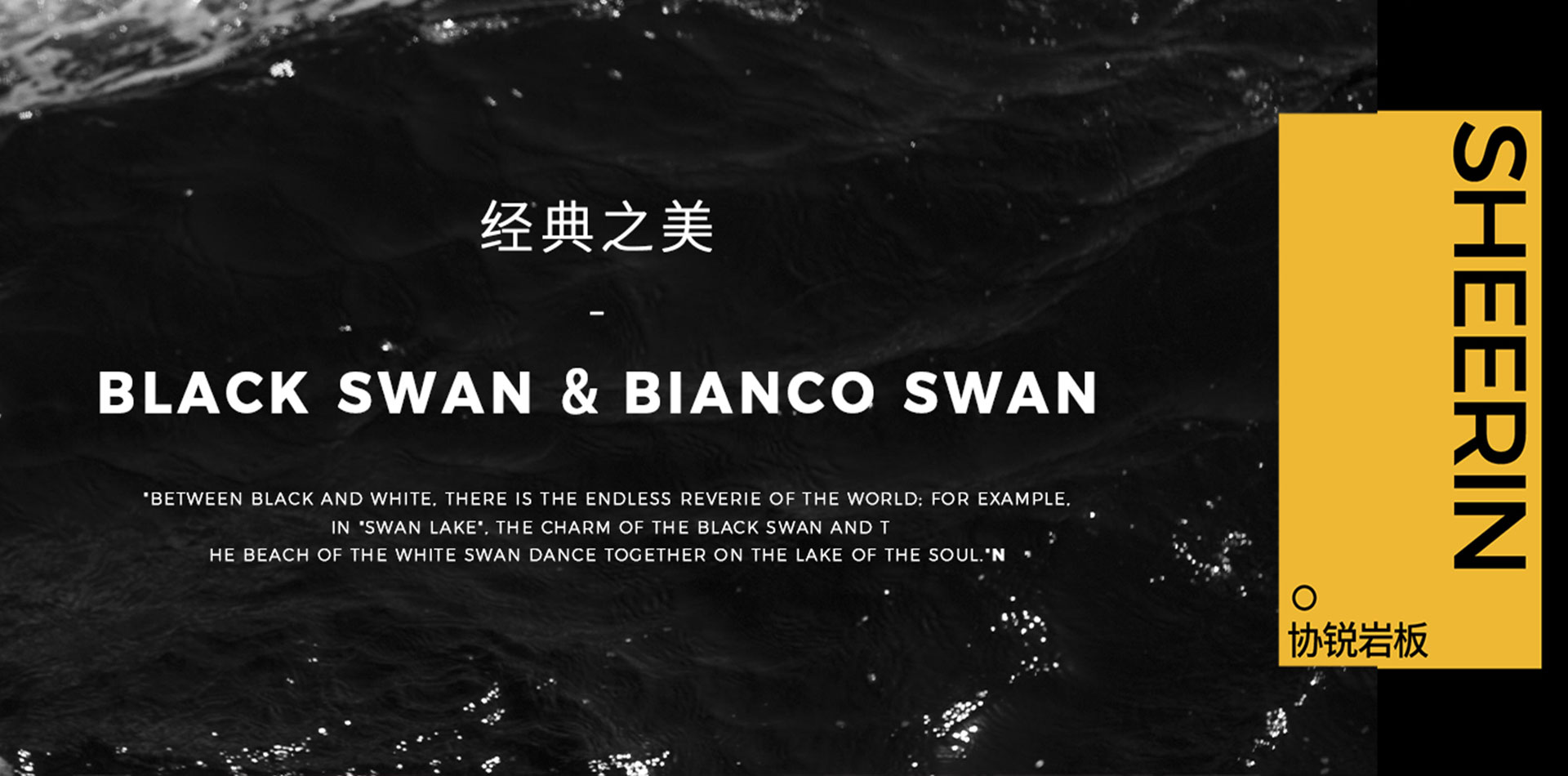 一黑一白，雙生靈魂，各自綻放，又相互輝映